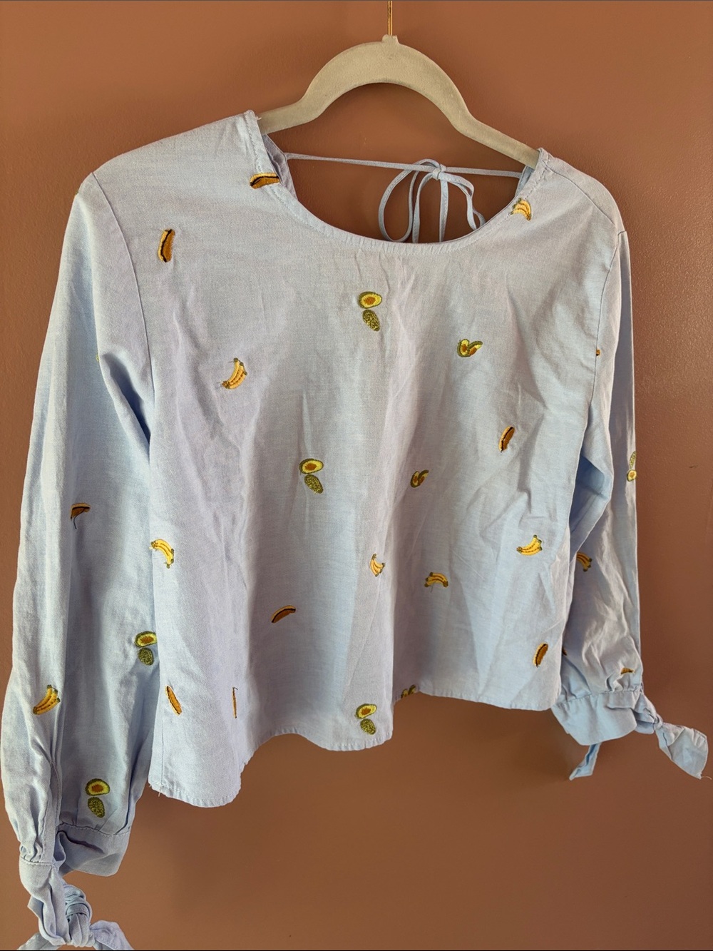 Light Blue Embroidered Fruit Tie-Sleeve Blouse